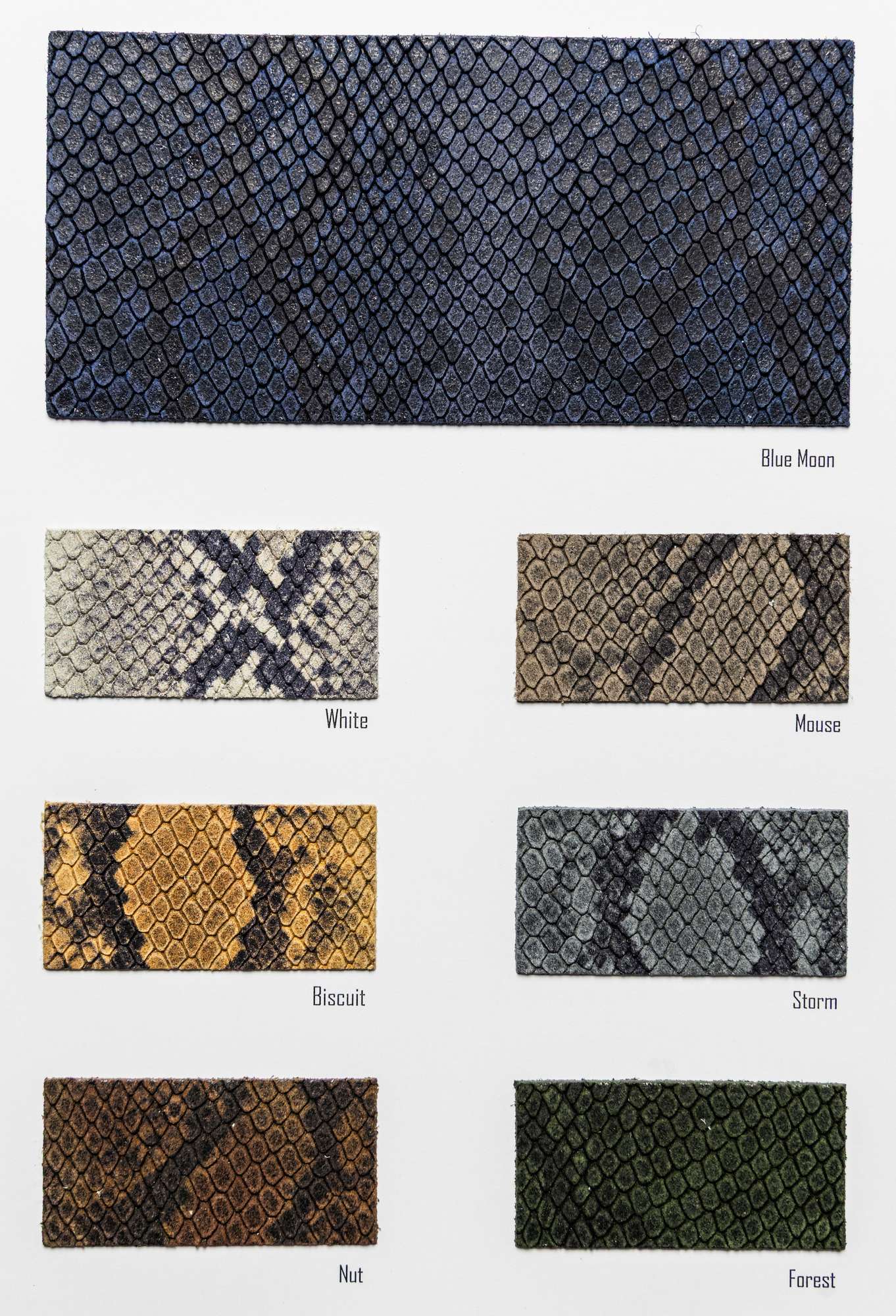 Helm color card Ta.go srl