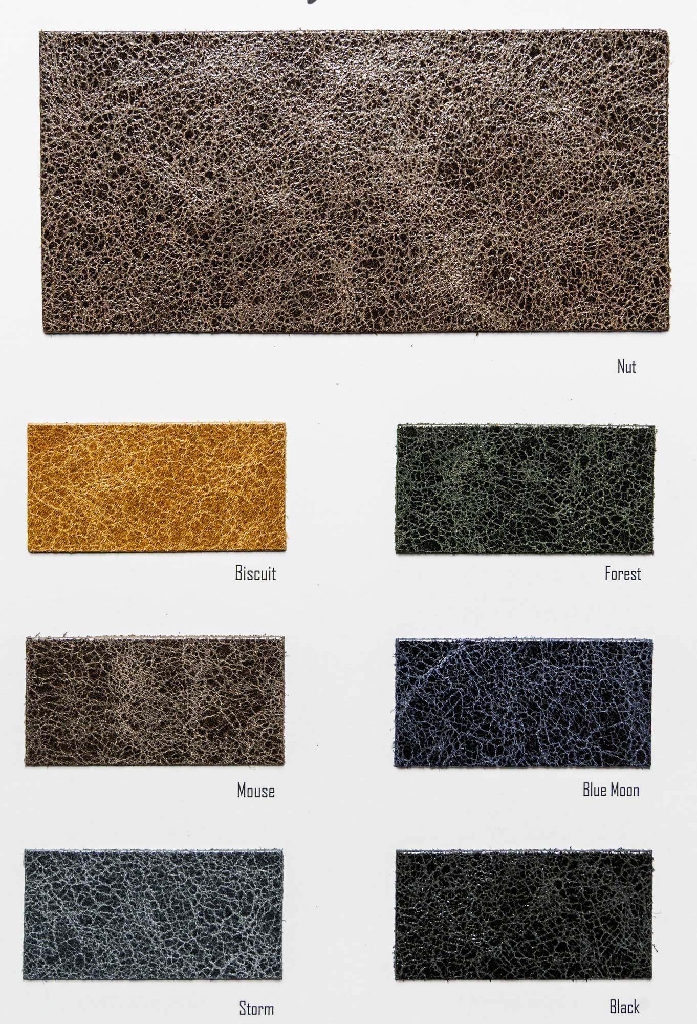 Zefiro color card Ta.go srl