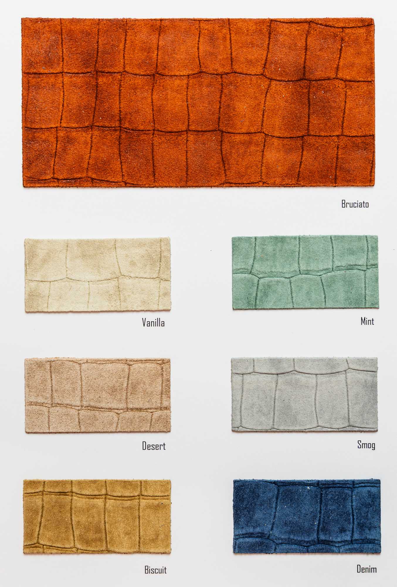 Cassia carta colori Ta.go srl