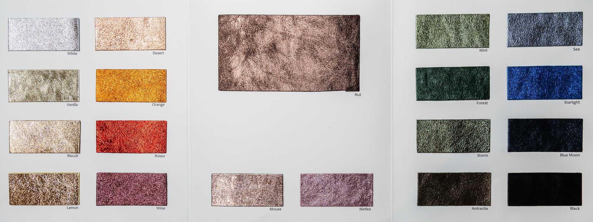 Ducati color card Ta.go srl