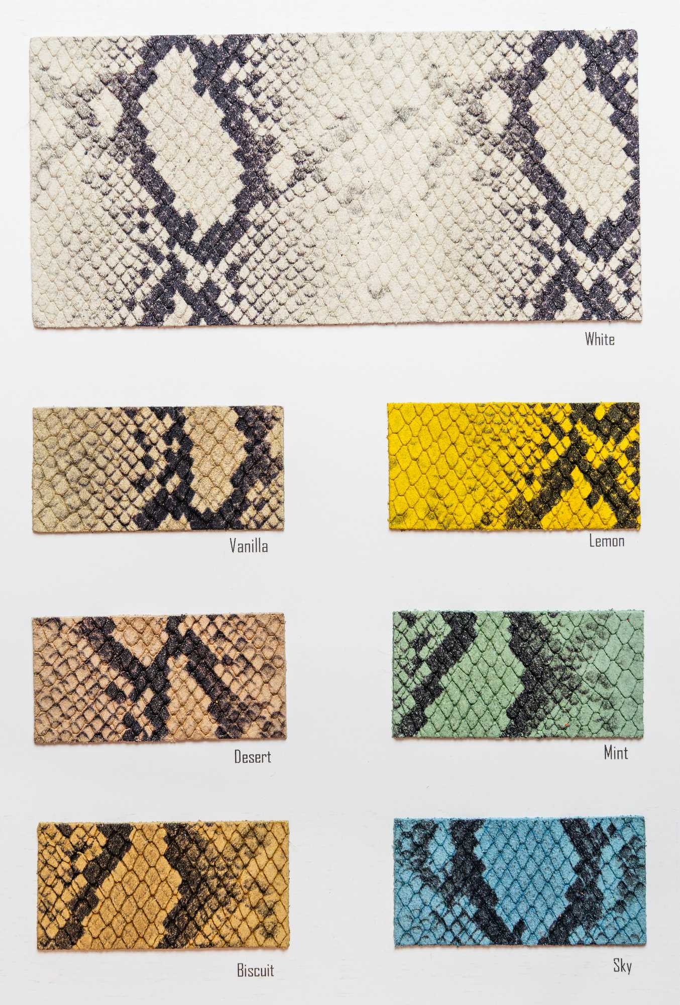 Lima color card Ta.go srl