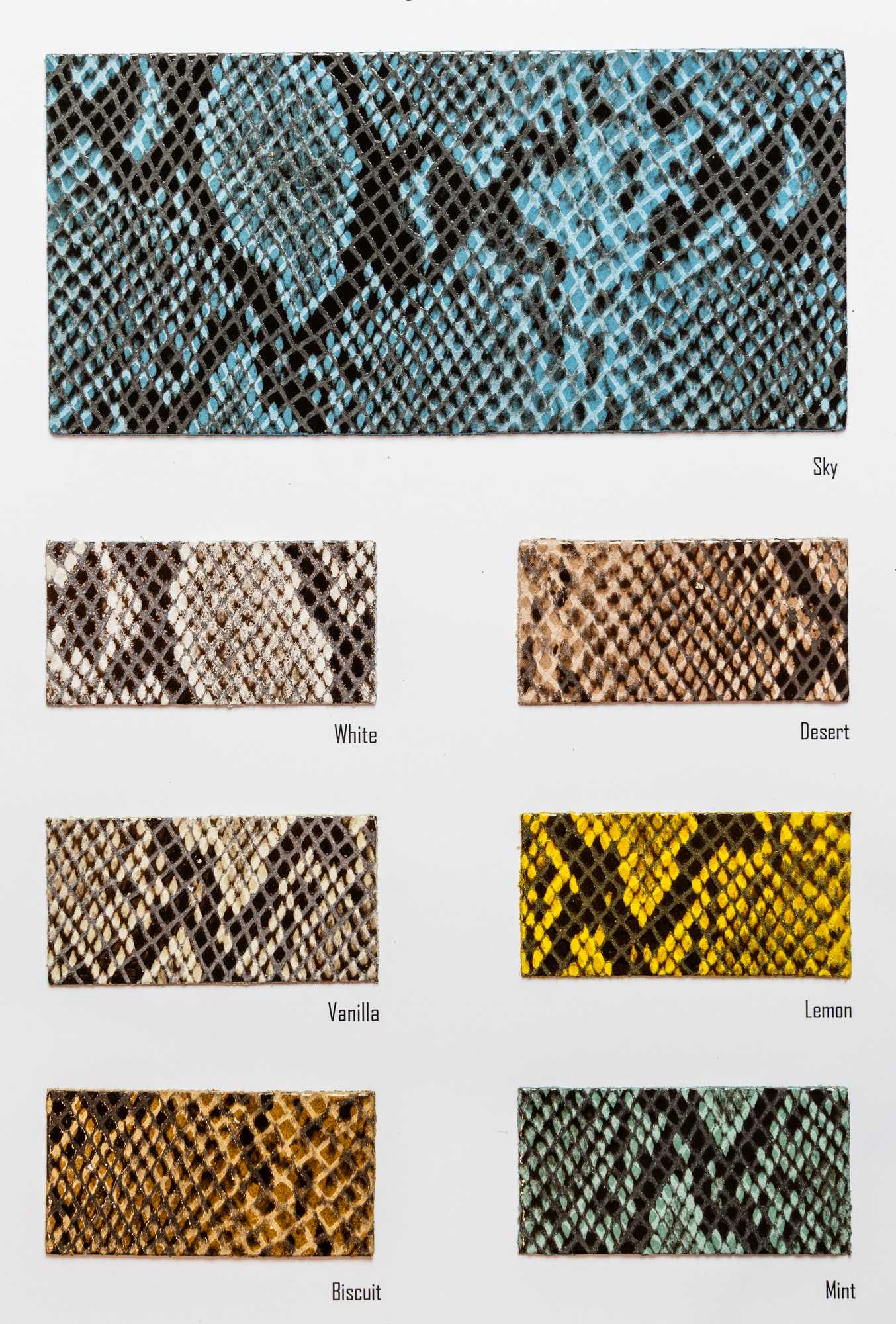 Nautilus carta colori Ta.go srl