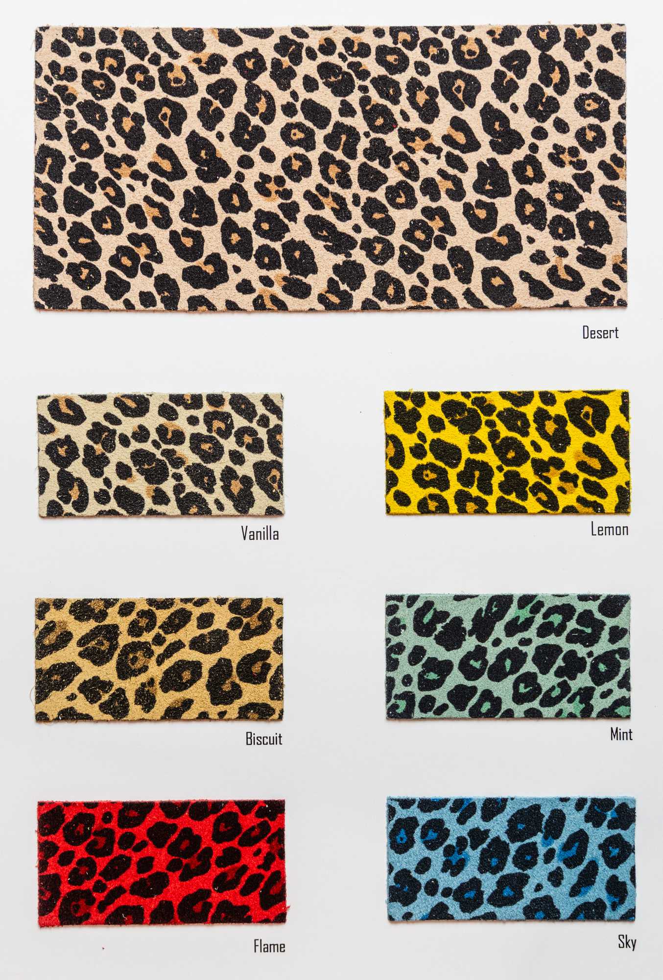 Solen carta colori Ta.go srl