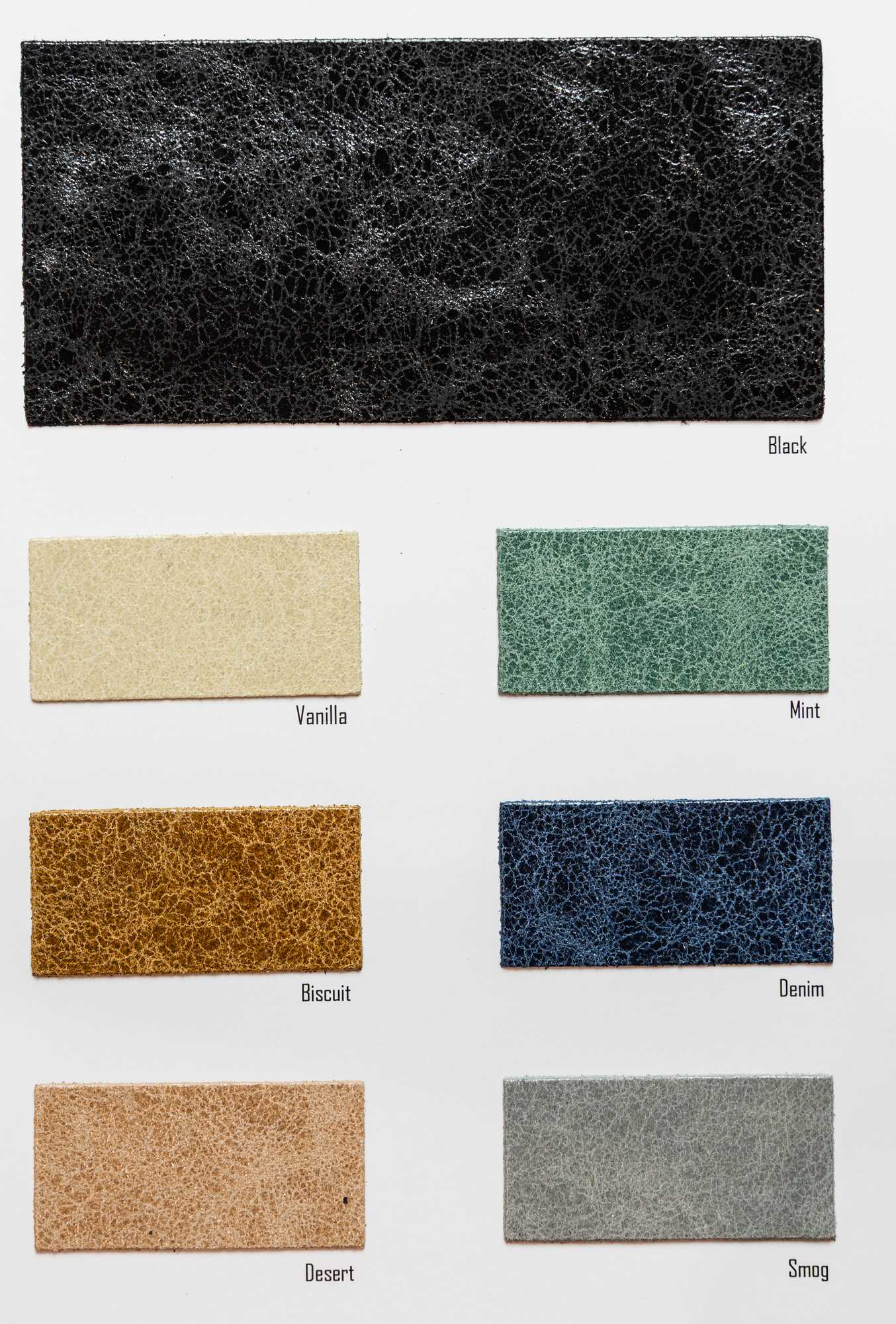 Trochus color card Ta.go srl