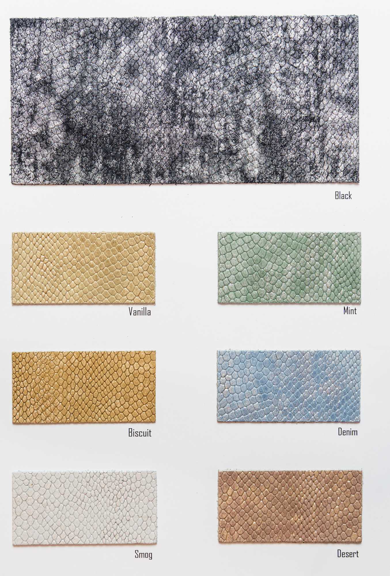 Veneris carta colori Ta.go srl