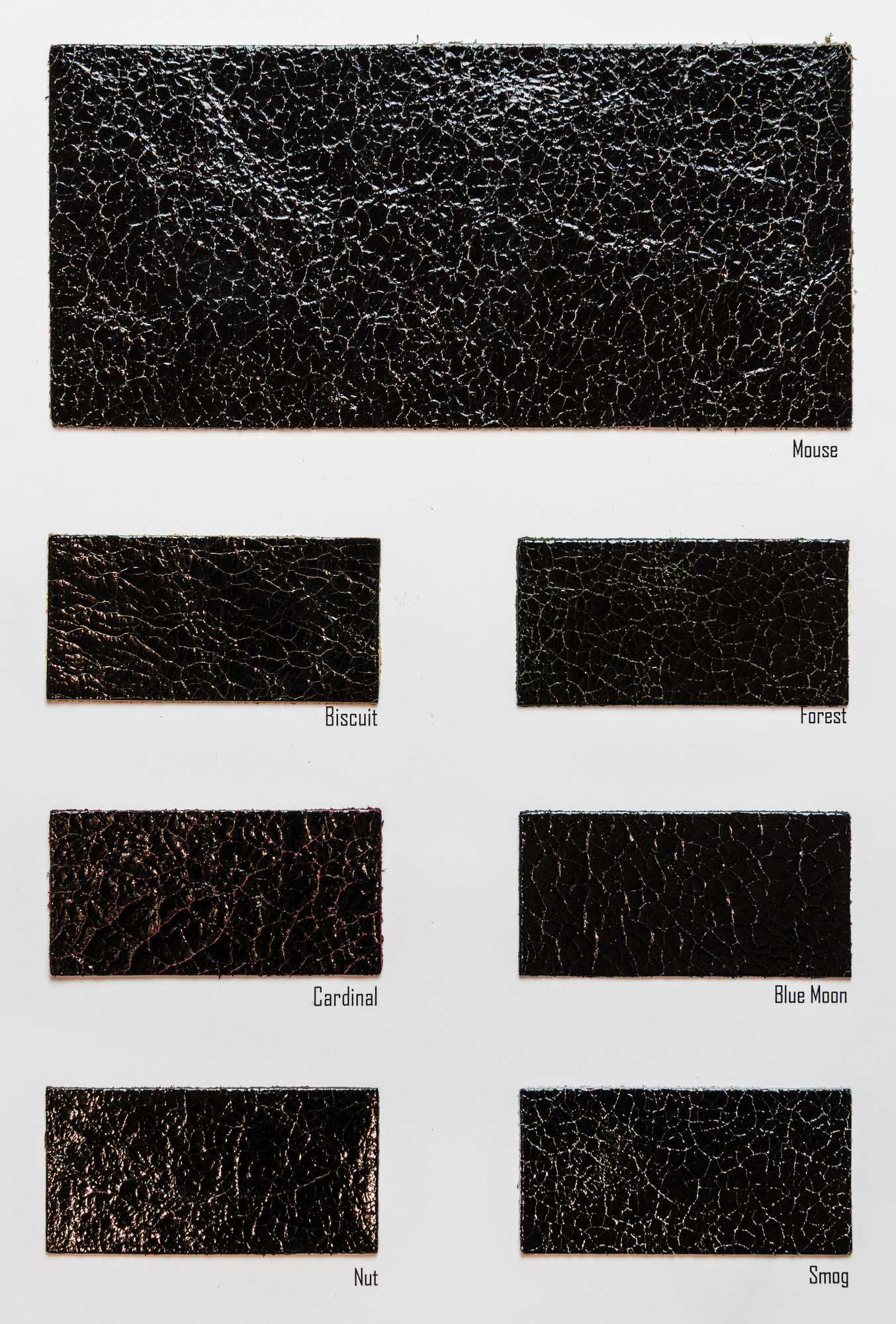 Bernarda color card Ta.go srl