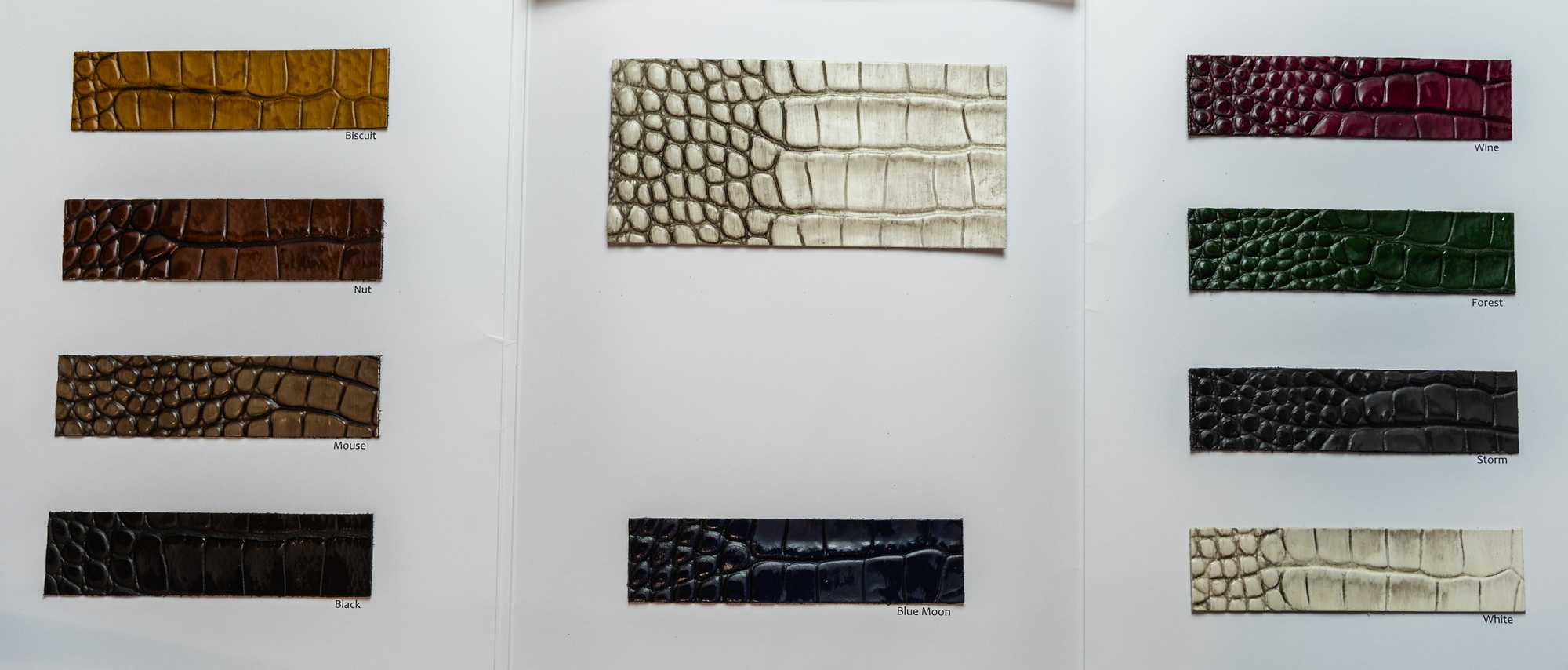 Borgonovo carta colori Ta.go srl