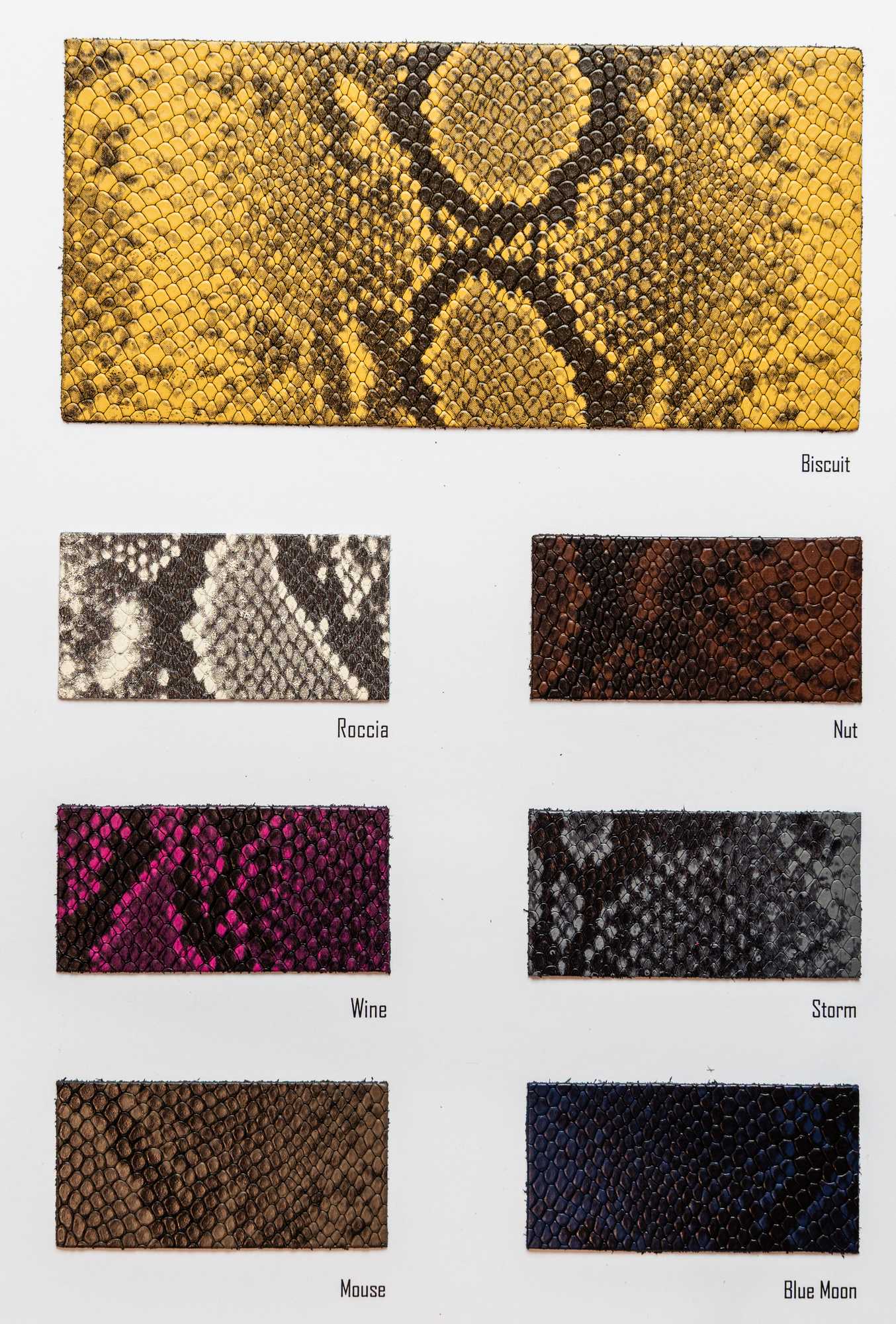 Botteghe carta colori Ta.go srl