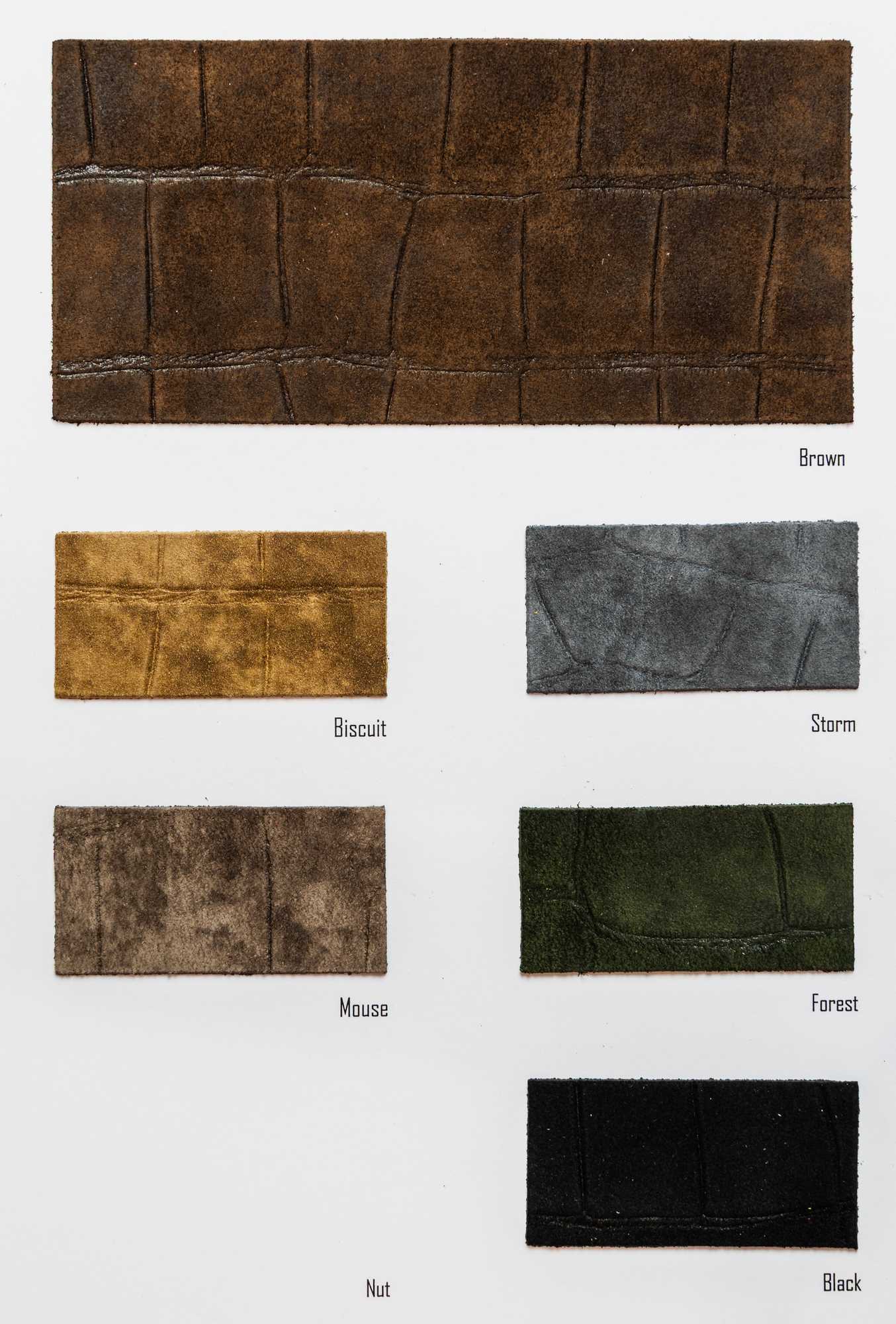 Istrice color card Ta.go srl