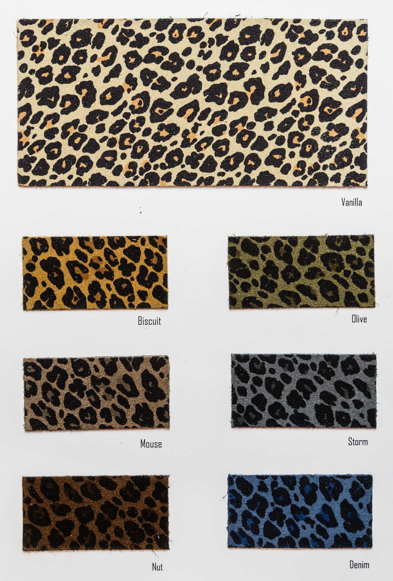 Raimonda color card Ta.go srl