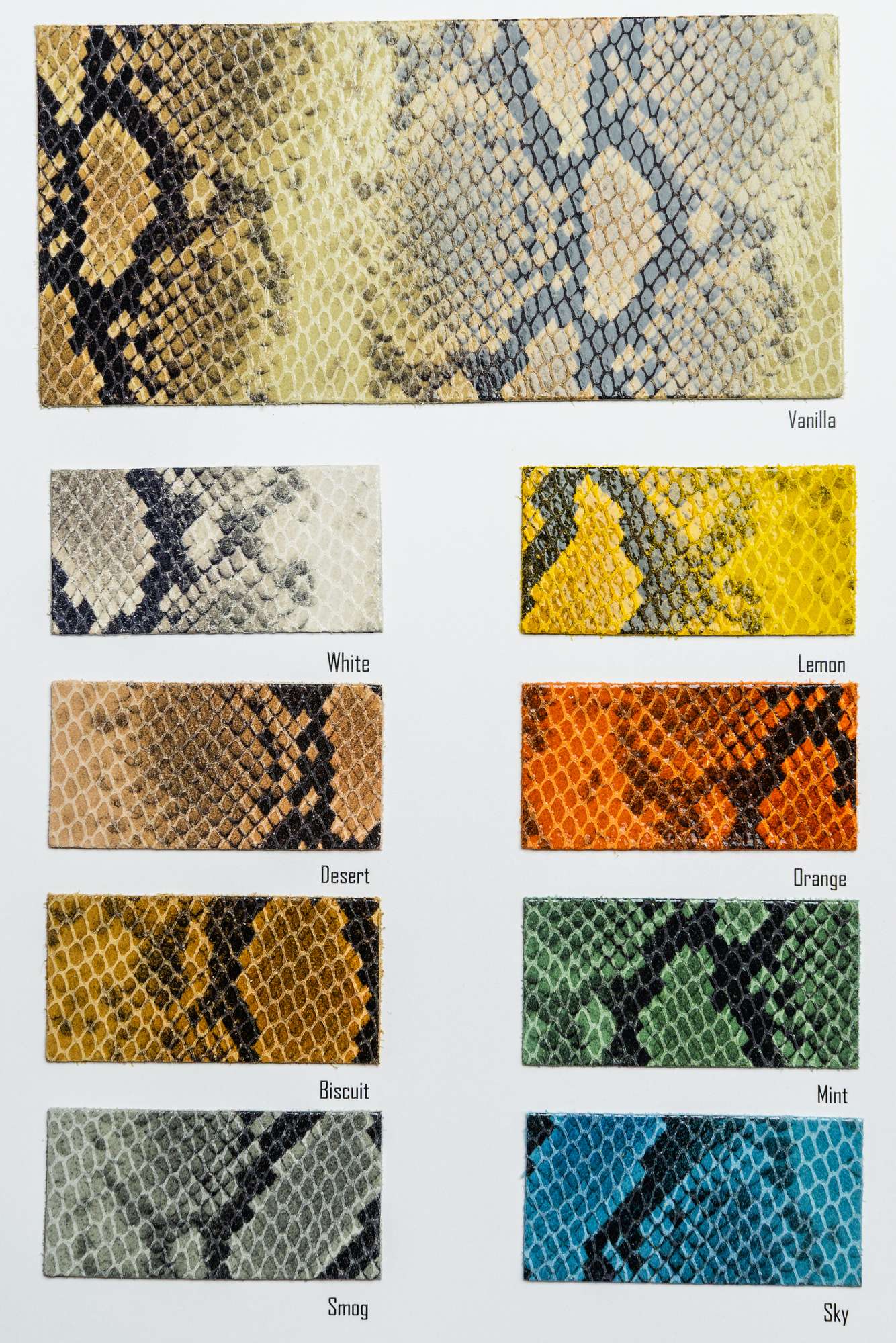 Brighella carta colori Ta.go srl