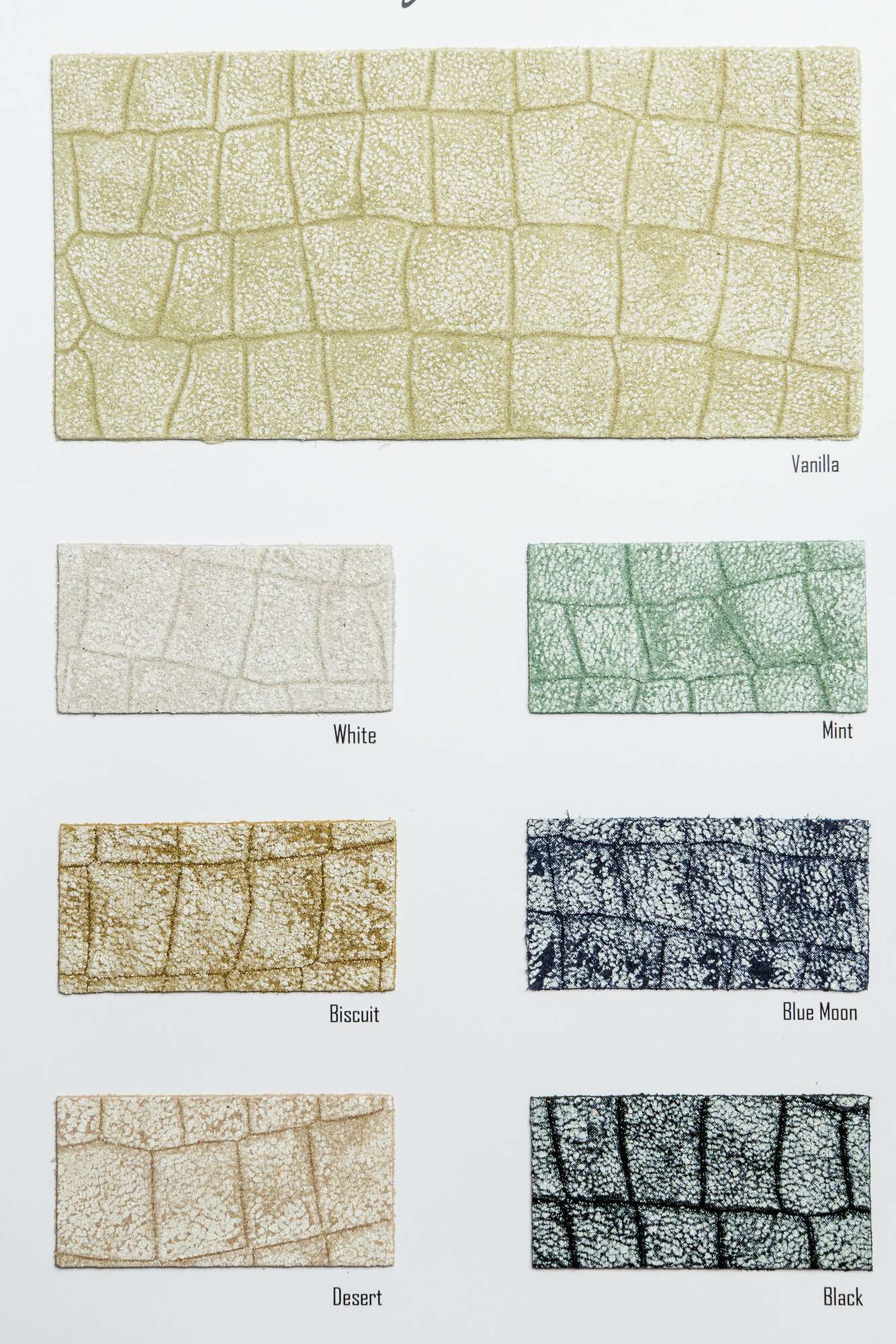 Burlamacco color card Ta.go srl