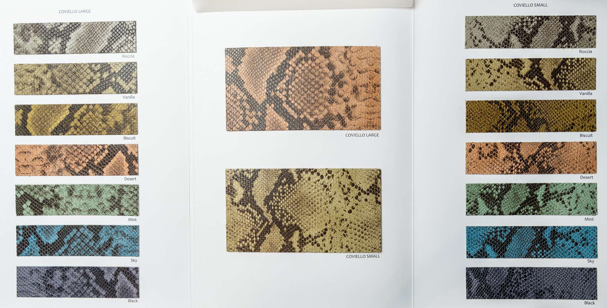 Coviello color card Ta.go srl