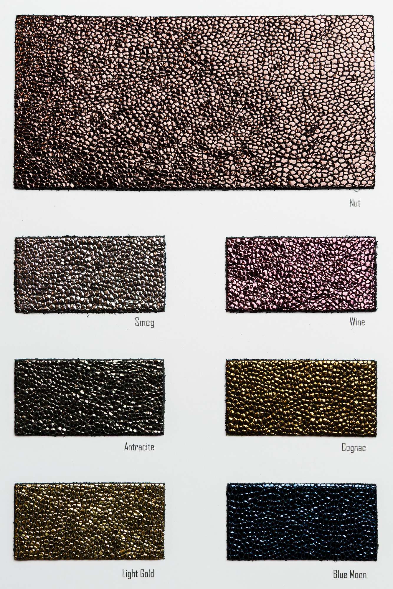 Messor color card Ta.go srl