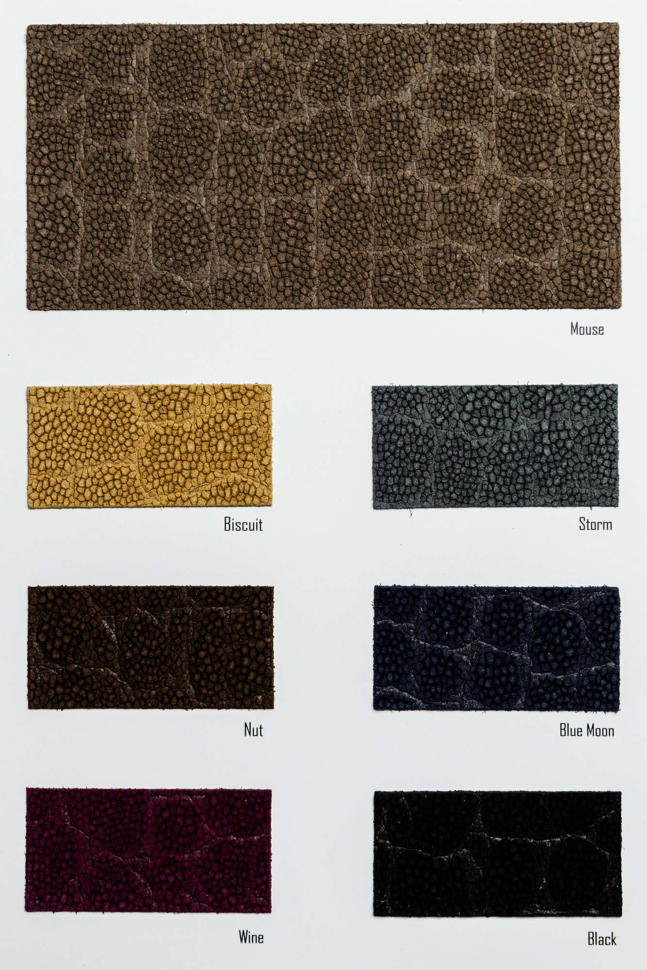 Quies color card Ta.go srl