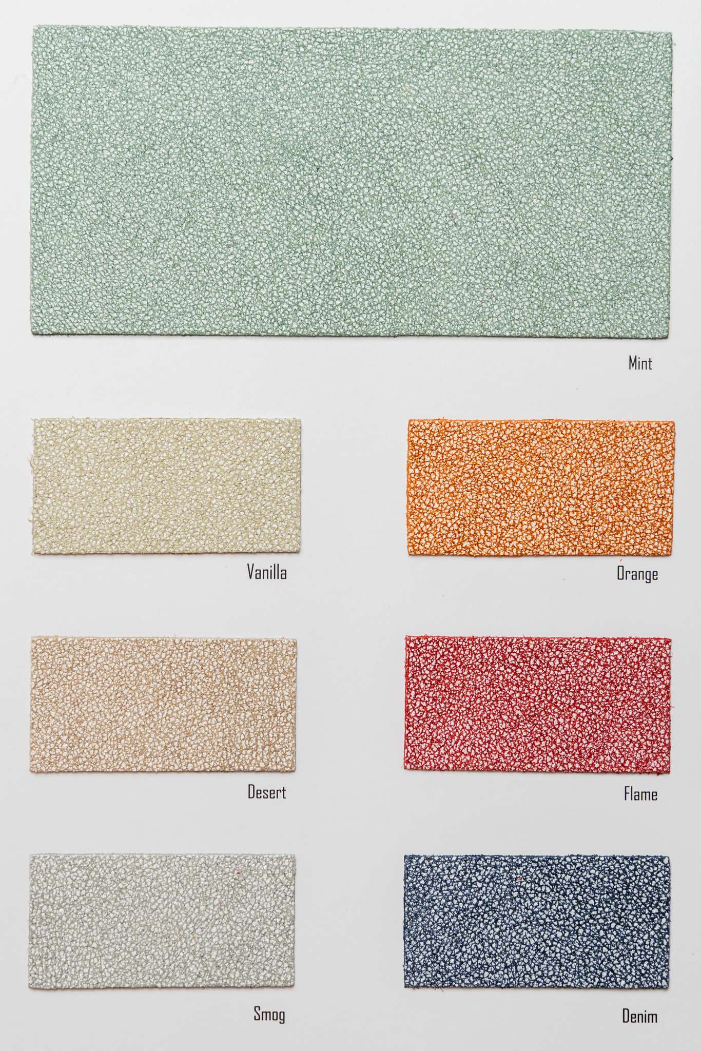 Berry color card Ta.go srl