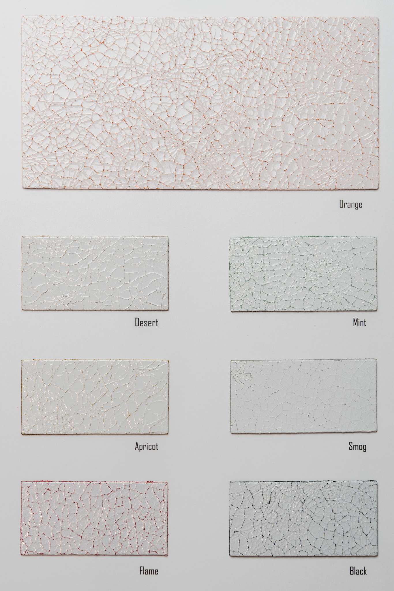 Blossom color card Ta.go srl