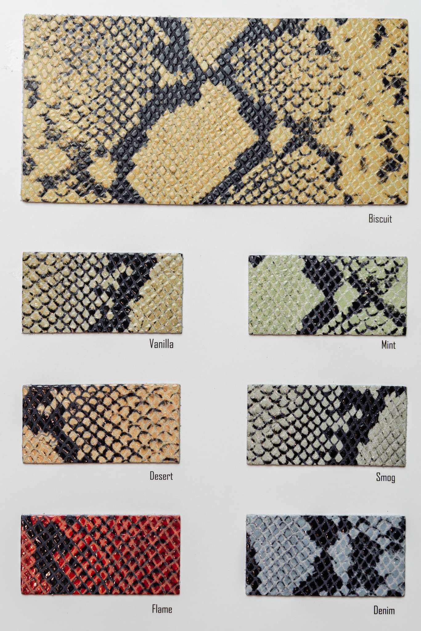 Braken color card Ta.go srl