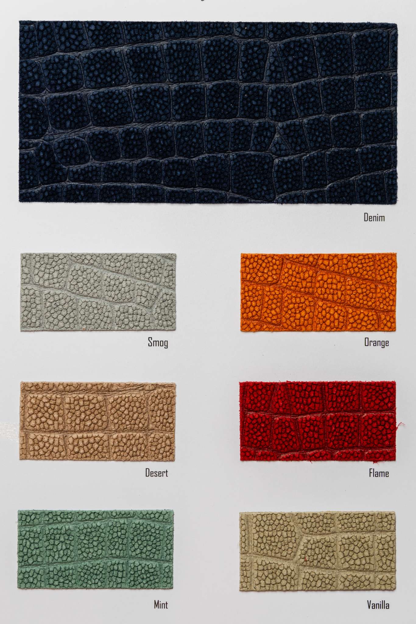 Bud color card Ta.go srl