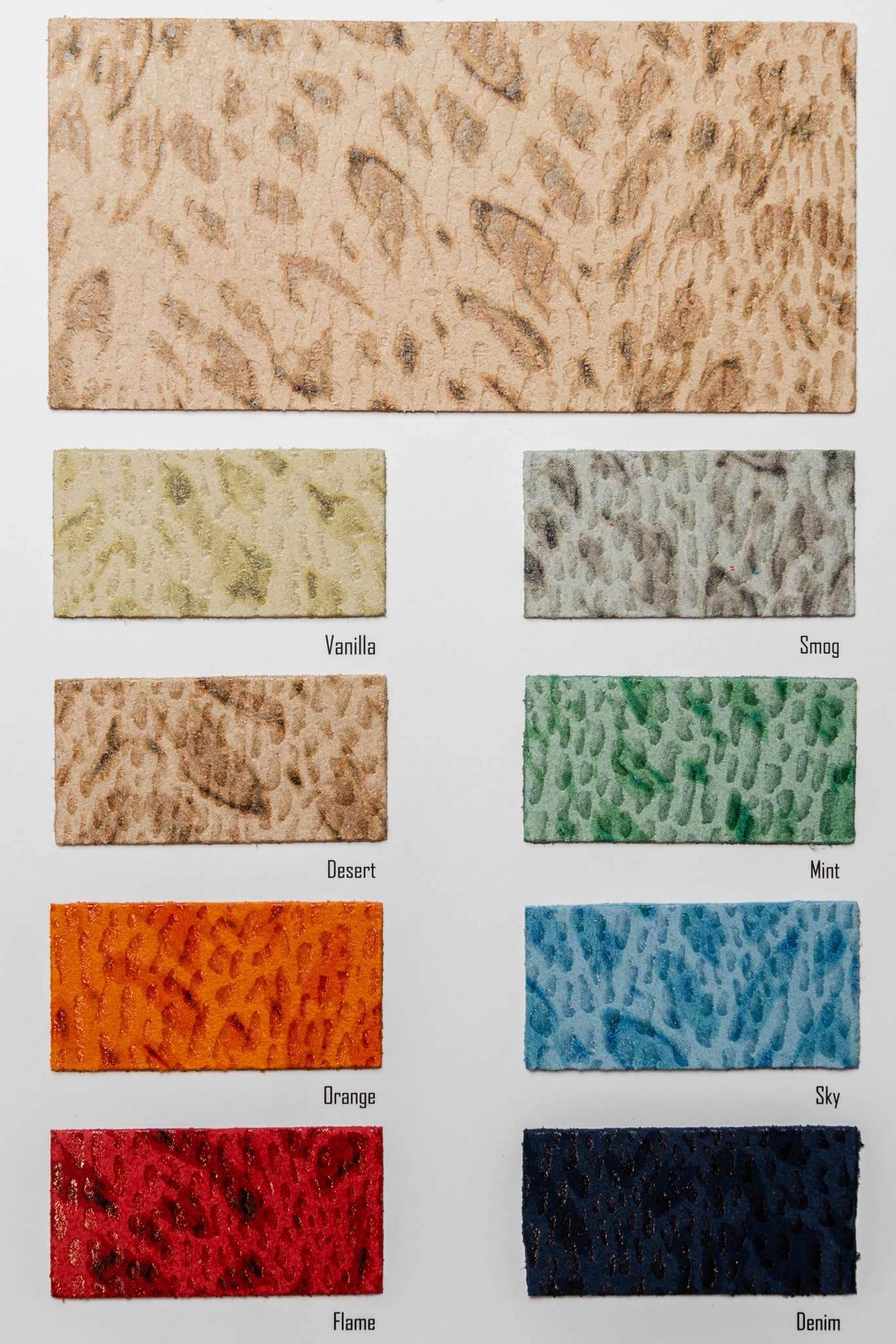 Corn color card Ta.go srl