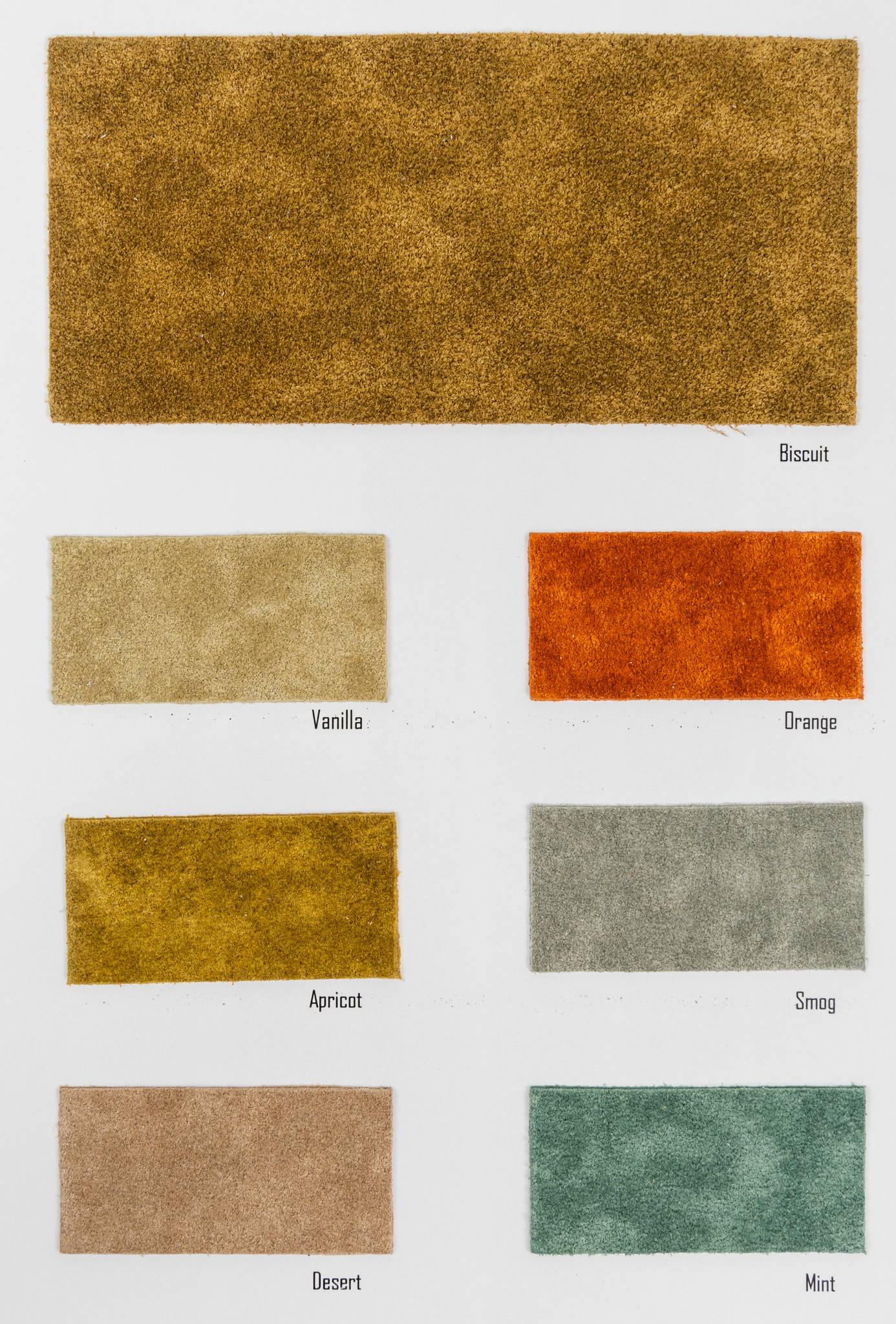 Derby color card Ta.go srl