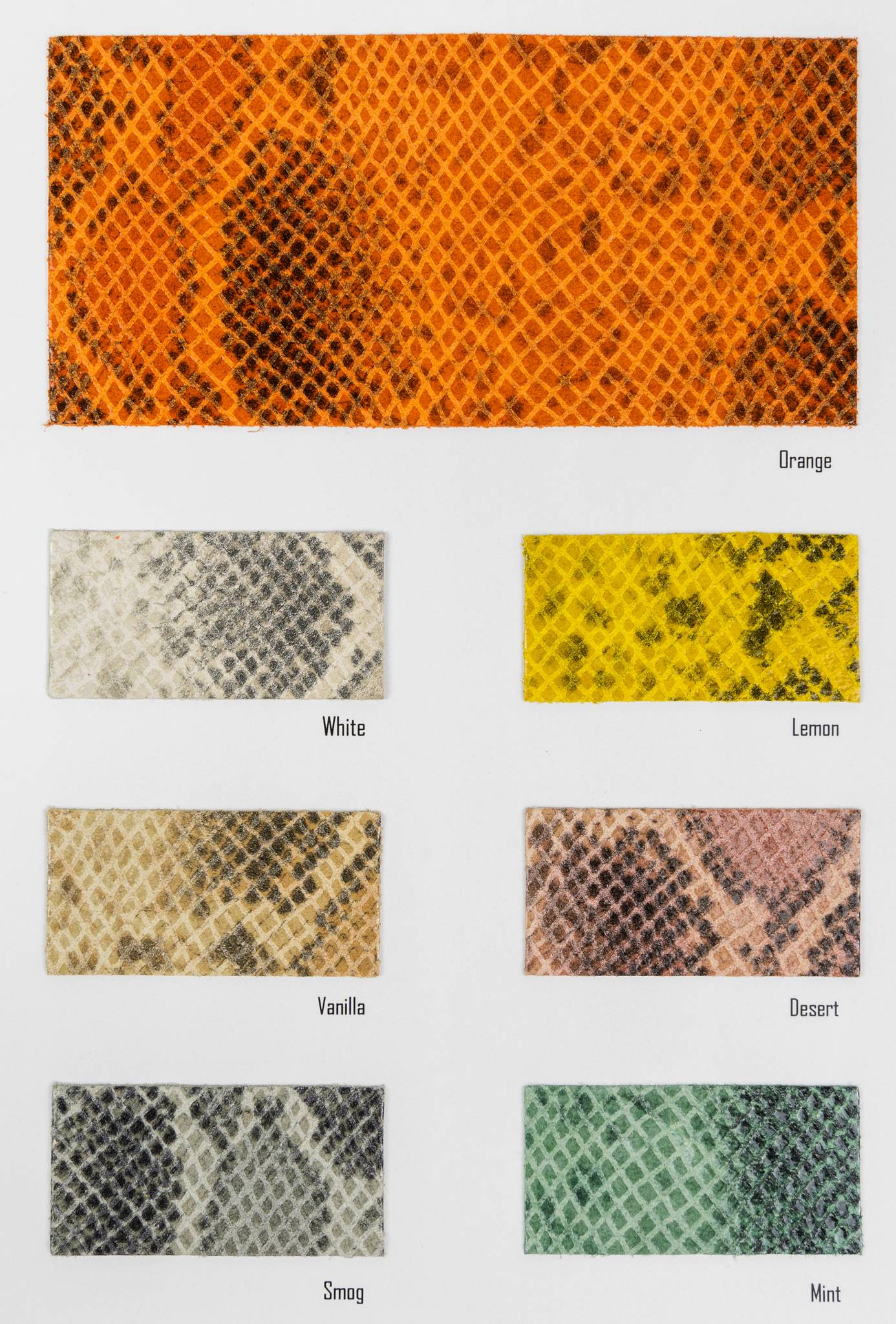 Indian carta colori Ta.go srl