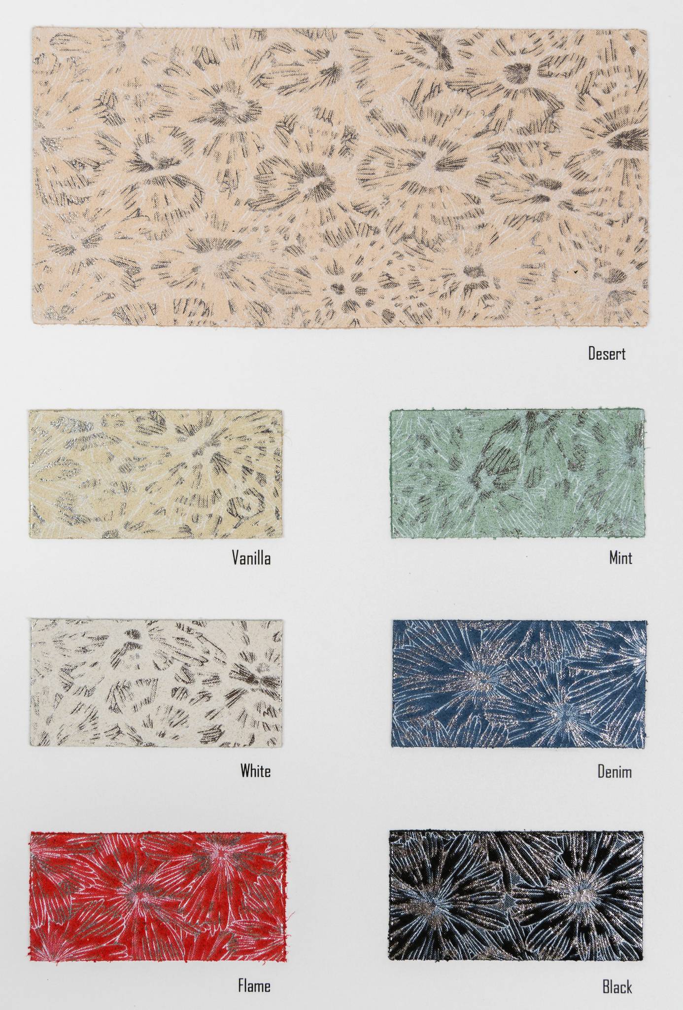 Kawasaki color card Ta.go srl