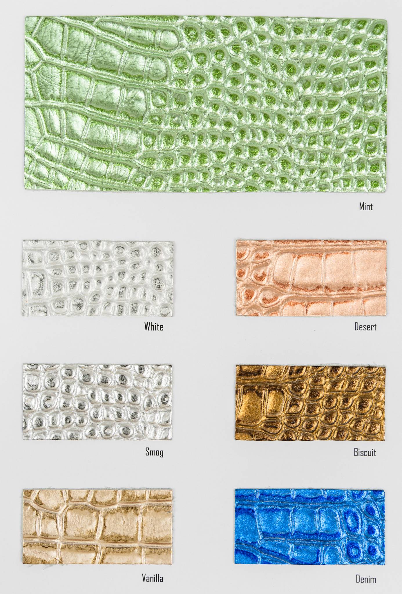 Ktm color card Ta.go srl