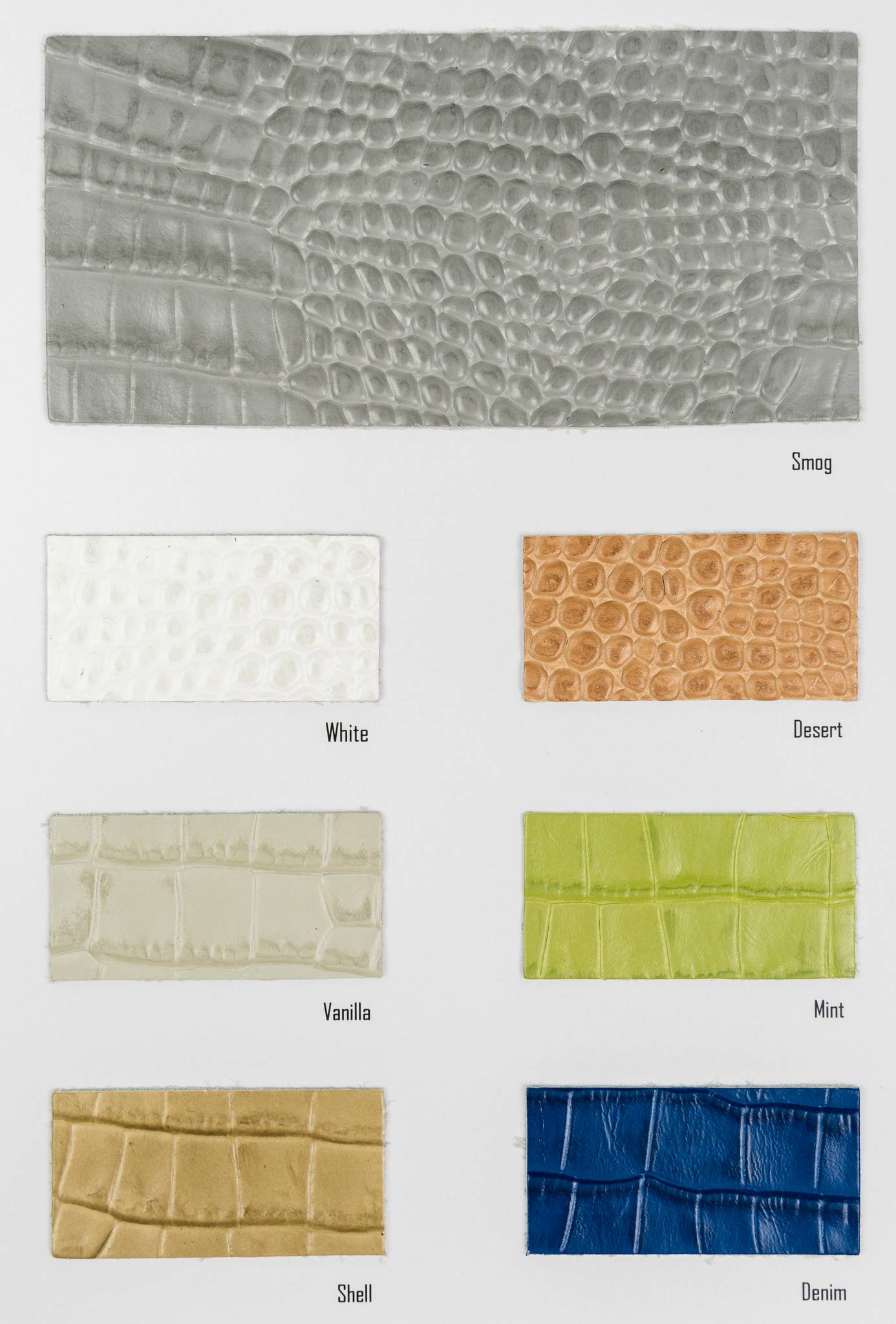 Mv color card Ta.go srl