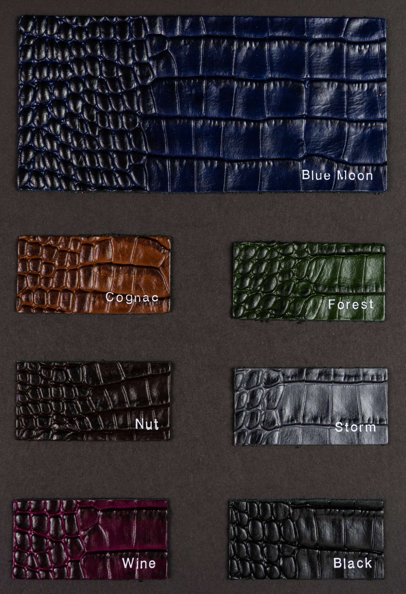 Aston-martin carta colori Ta.go srl