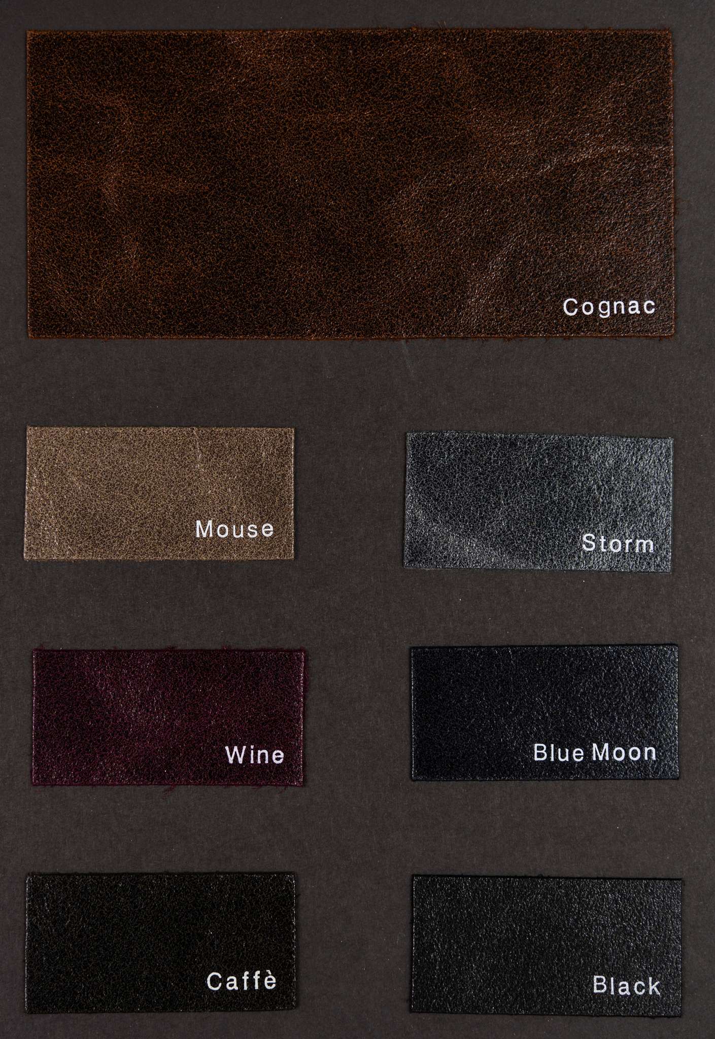 Bugatti color card Ta.go srl