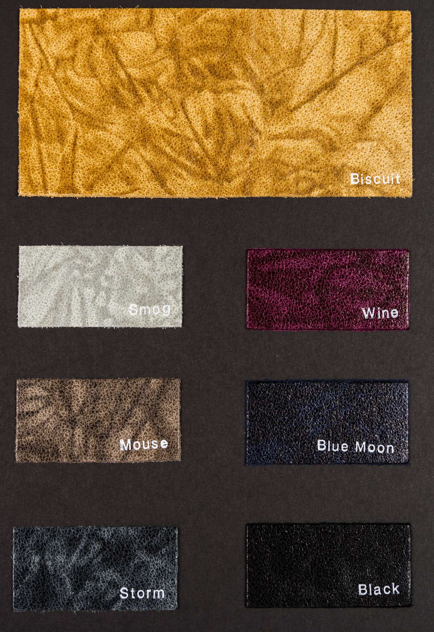 Jeep carta colori Ta.go srl