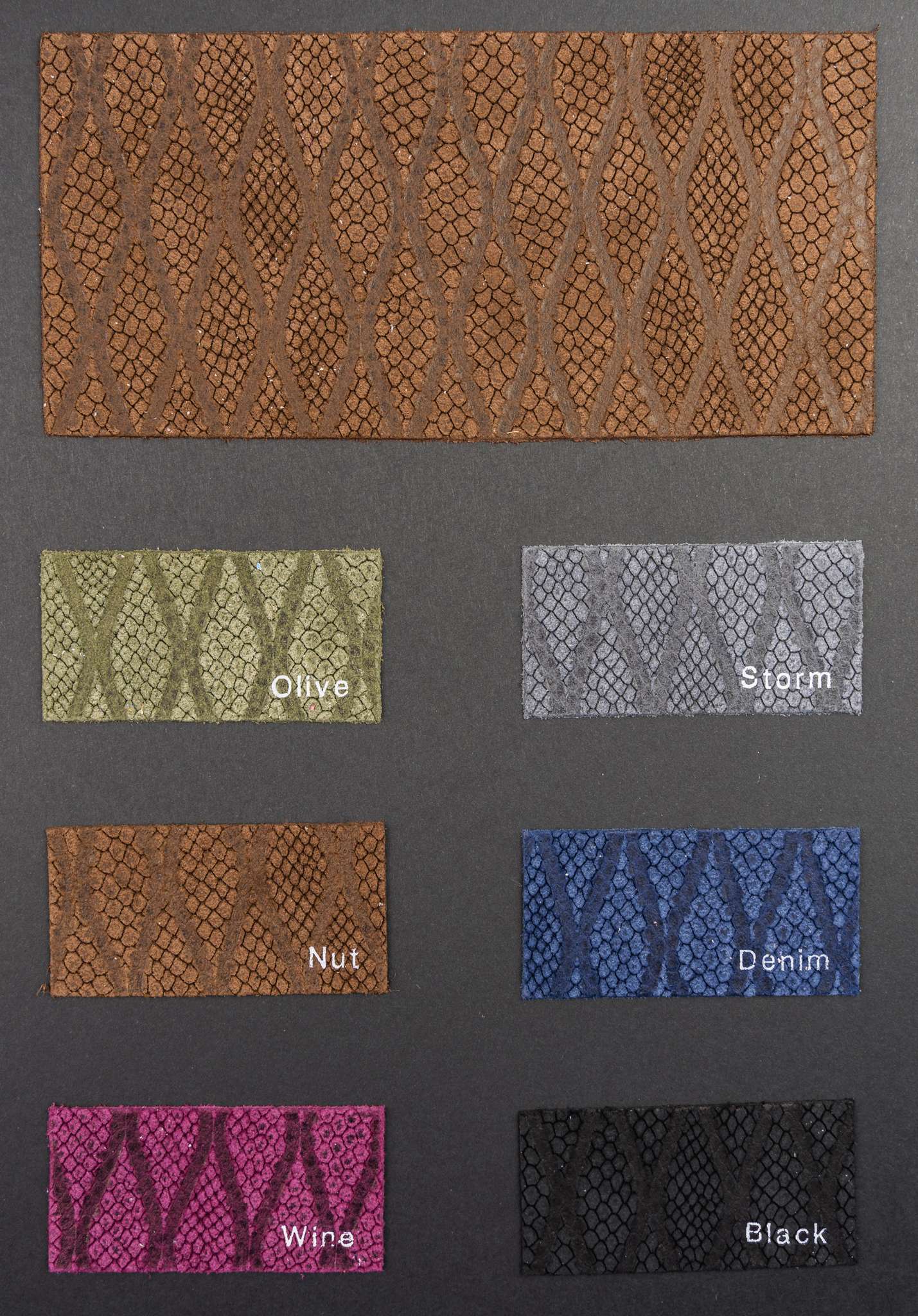 Diving color card Ta.go srl