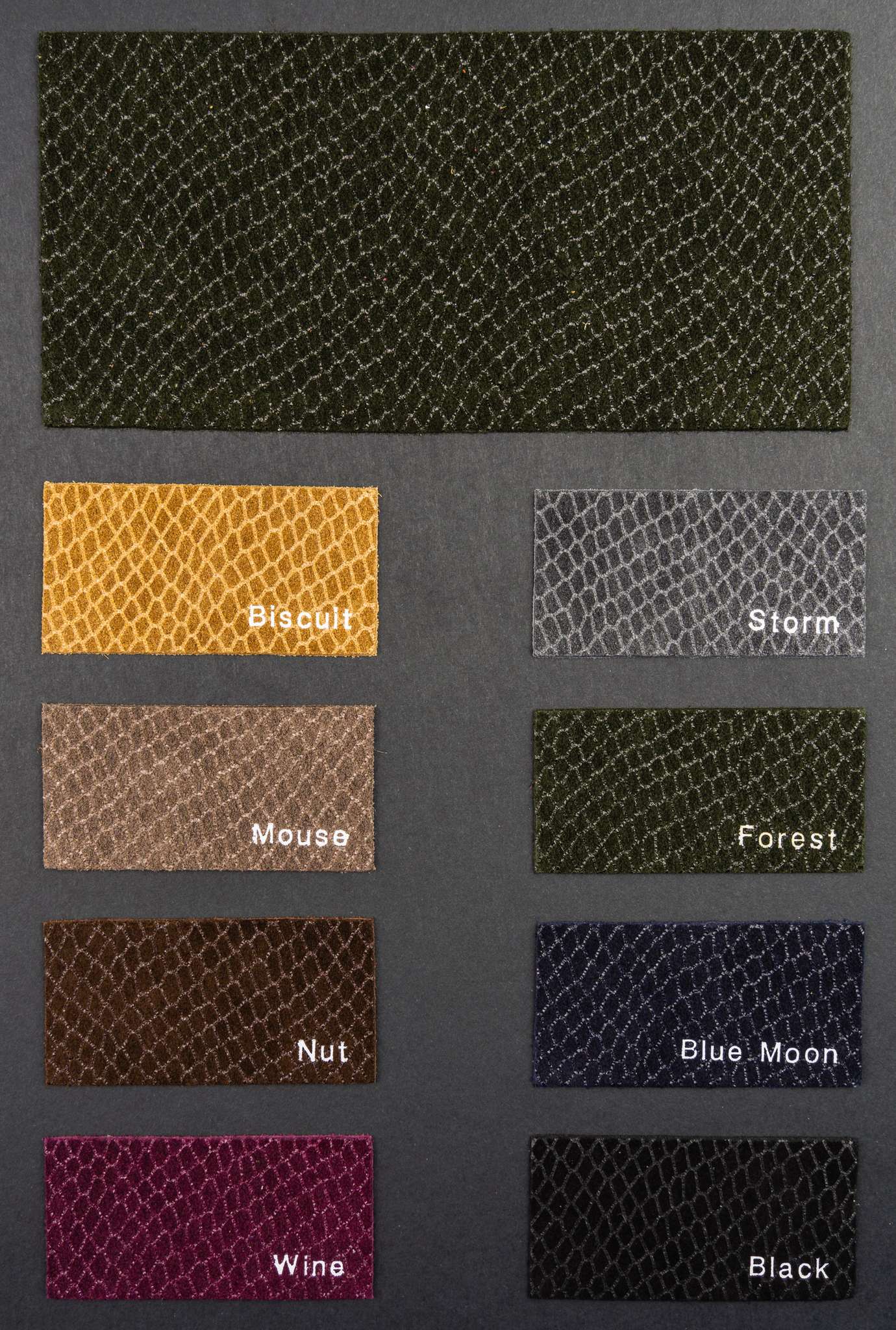 Rowing color card Ta.go srl