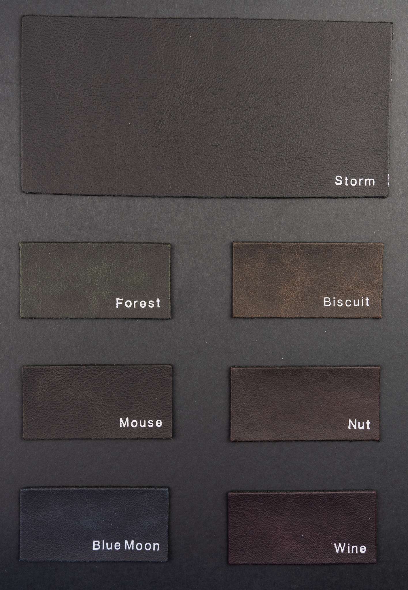 Skeleton color card Ta.go srl