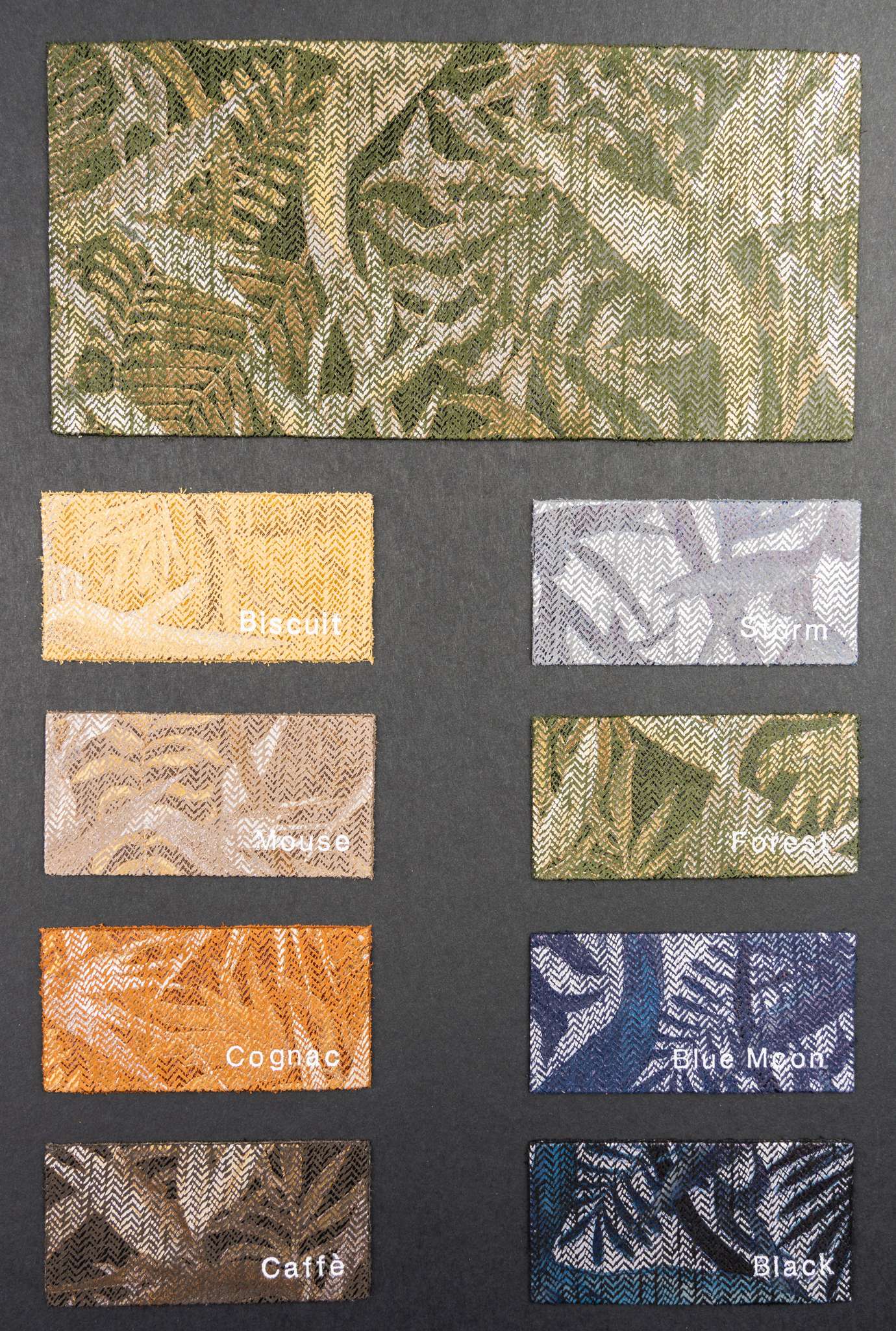 Wind-surf color card Ta.go srl