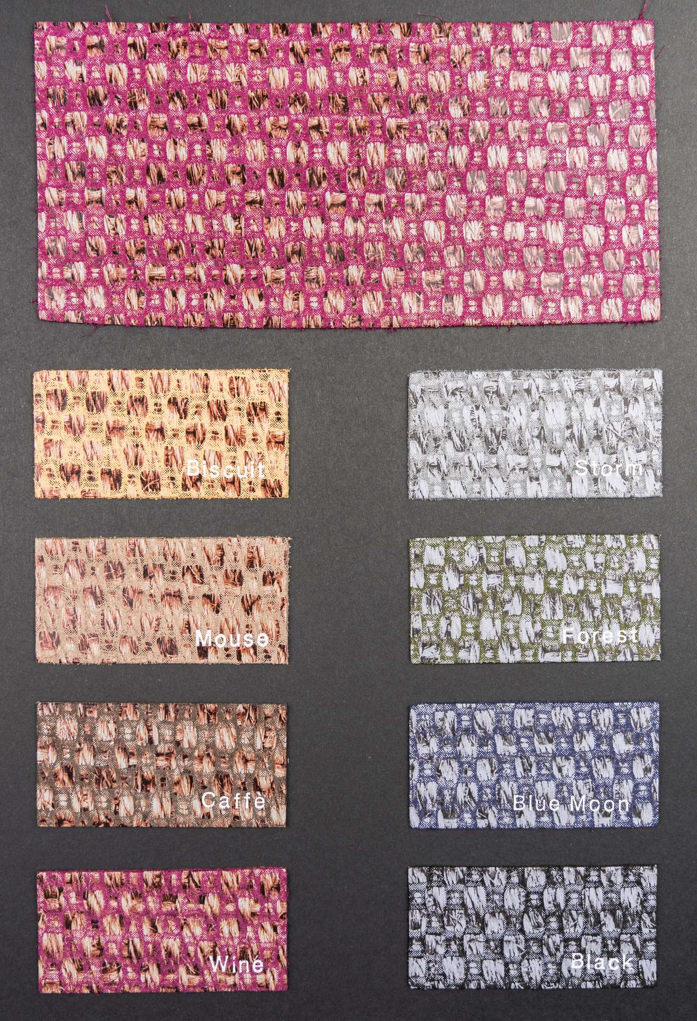 Wrestling color card Ta.go srl