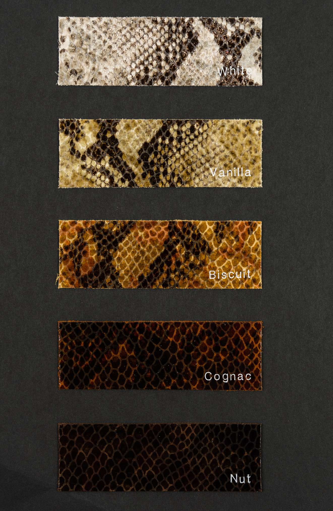 Golf color card Ta.go srl