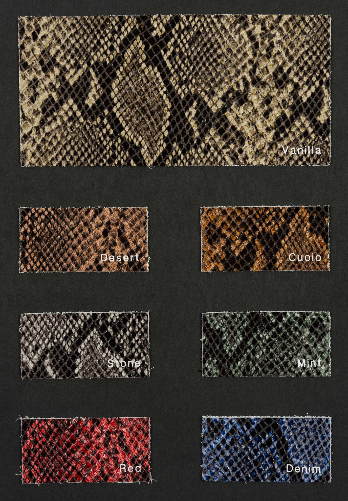 Surf color card Ta.go srl