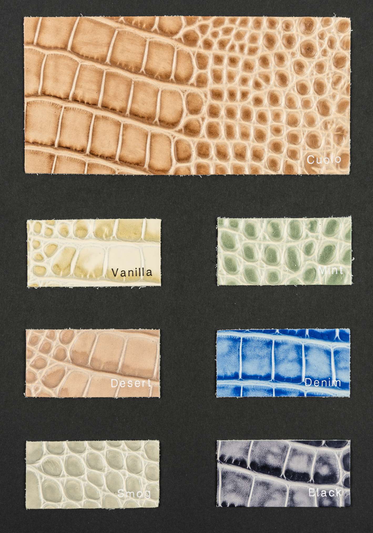 Climbing color card Ta.go srl