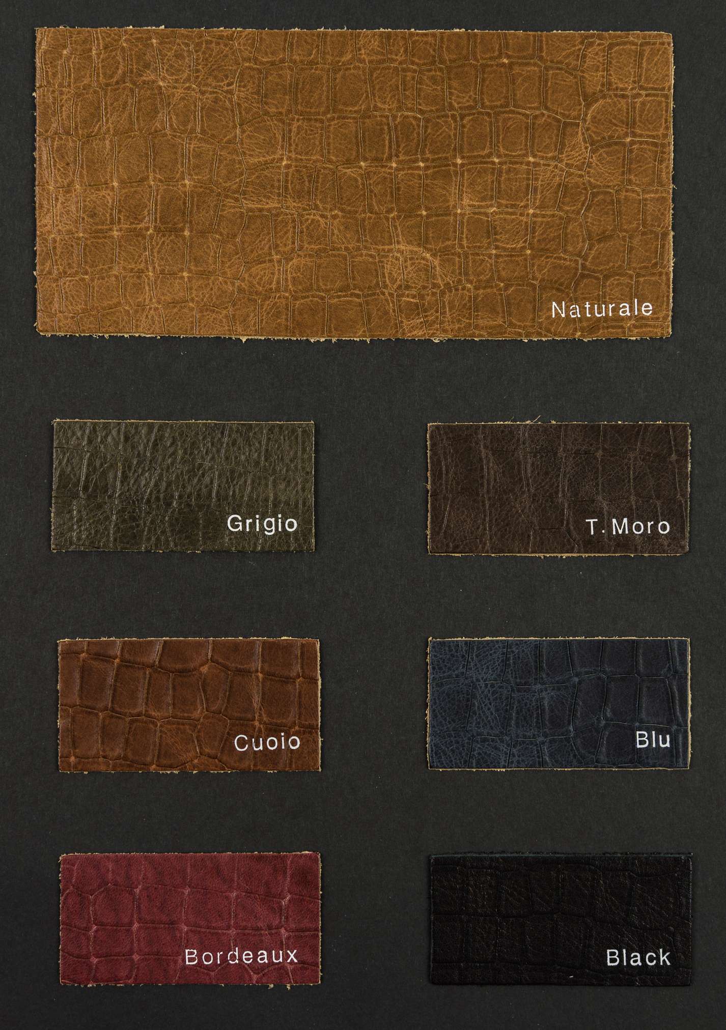 Jumping color card Ta.go srl