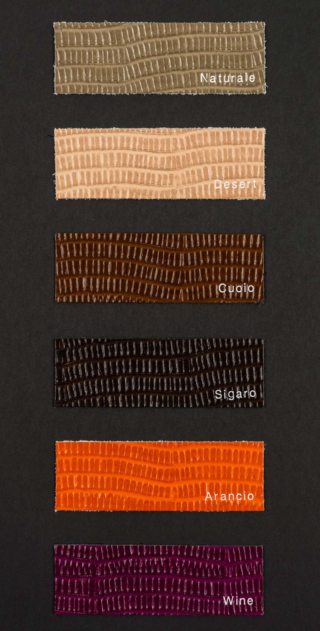 Kart color card Ta.go srl