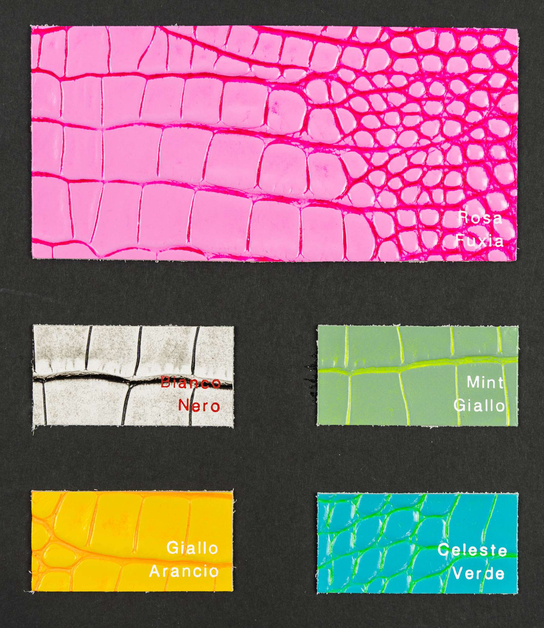 Teakwondo color card Ta.go srl