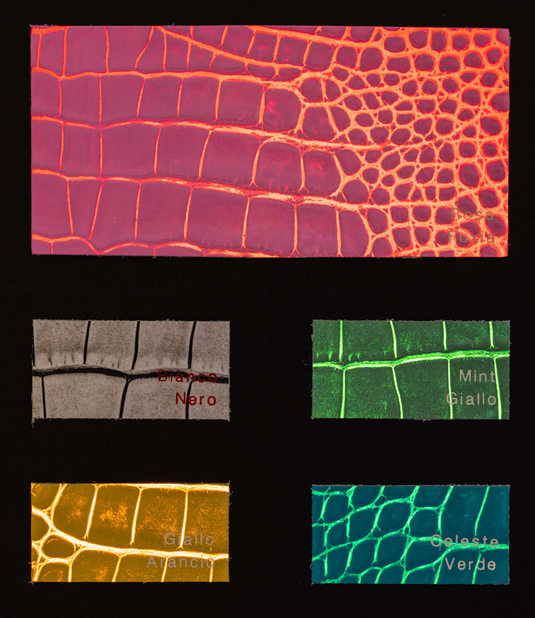 Teakwondo color card Ta.go srl