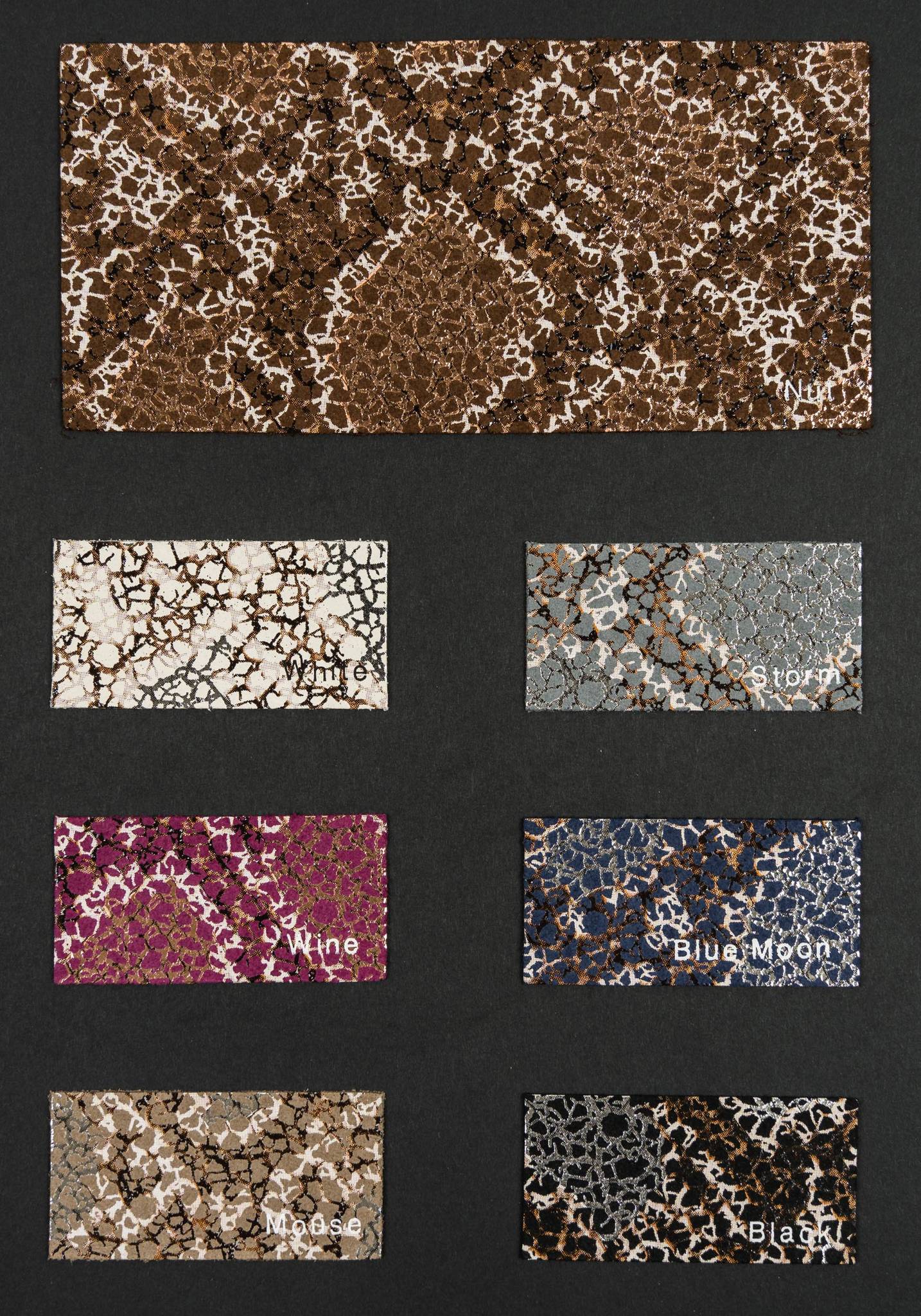 Spice carta colori Ta.go srl