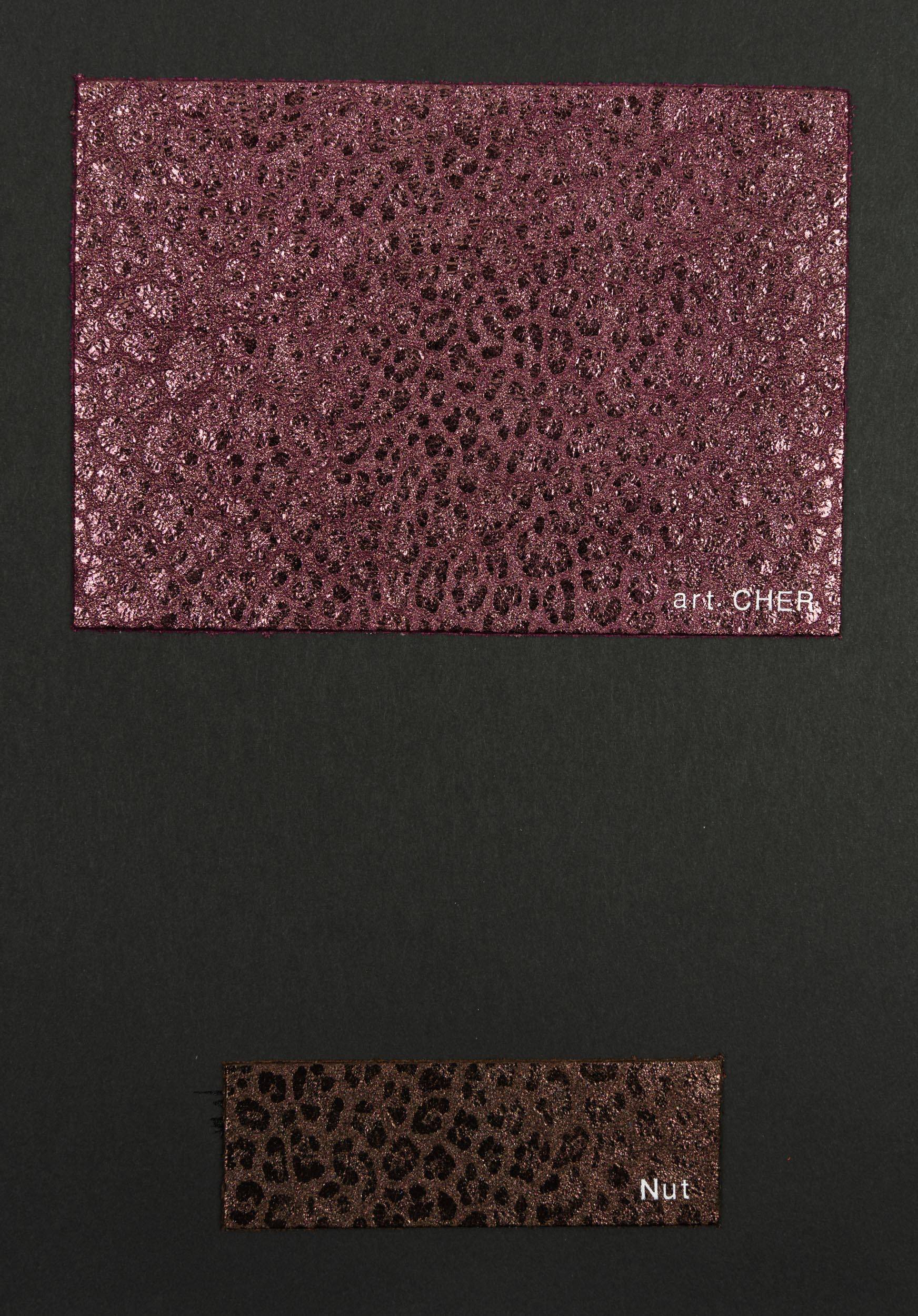 Cher color card Ta.go srl